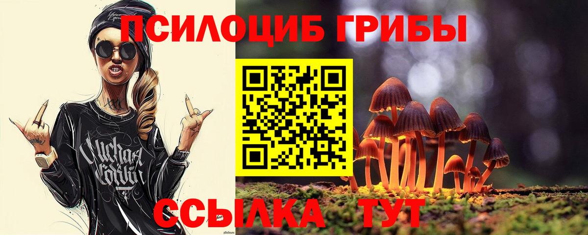 Псилоцибиновые грибы Magic Shrooms Михайловск