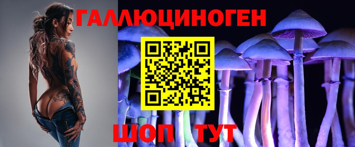 Михайловск  где найти   Вход с VPN  Псилоцибиновые грибы Cubensis 